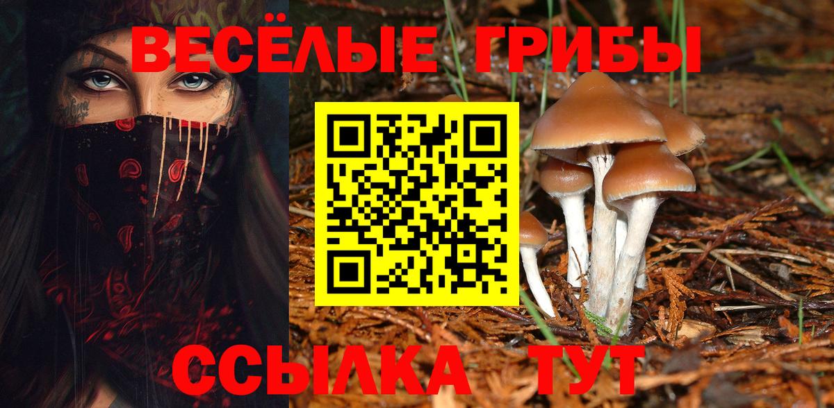 Псилоцибиновые грибы ЛСД  Вход с VPN  Кызыл 
